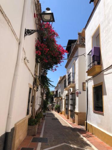 Estudio mariluz