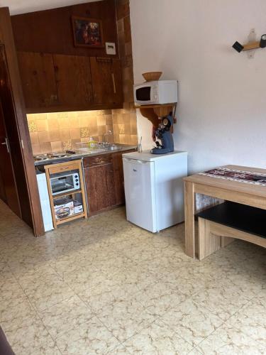 une petite cuisine avec un réfrigérateur et un évier dans l'établissement Studio Praz de lys, à Taninges