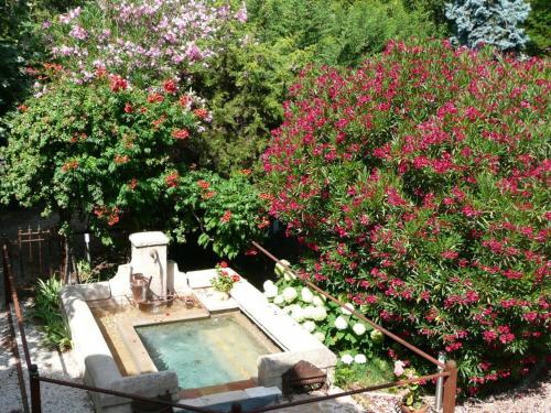 a garden with pink flowers and a small pool at Gite la bastido in Le Luc