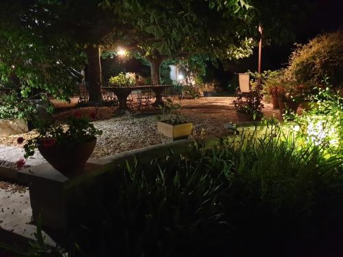 a garden at night with a table and plants at Gite la bastido in Le Luc