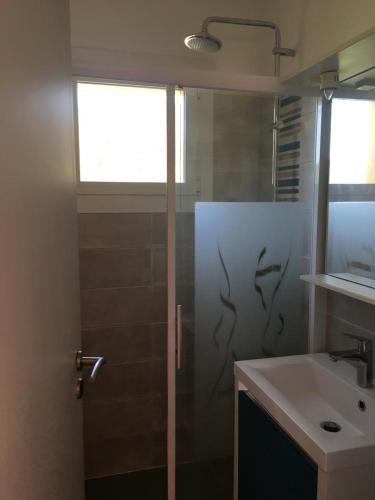 une salle de bain avec douche et lavabo dans l'établissement Villa fracap grande vue mer et proximite plage, à Rayol-Canadel-sur-Mer
