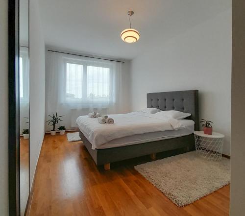 Apartman Lumi Arena