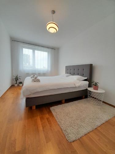 Apartman Lumi Arena
