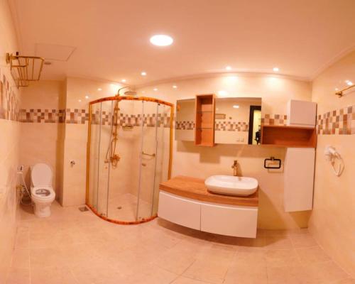 ジブチにあるGolden Airport Hotelのバスルーム(シャワー、洗面台、トイレ付)