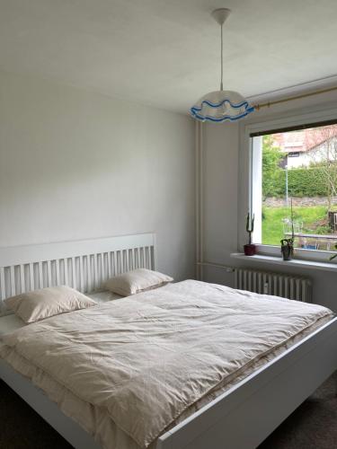 a white bedroom with a large bed and a window at Apartmán Pod Studenou Horou in Rokytnice nad Jizerou