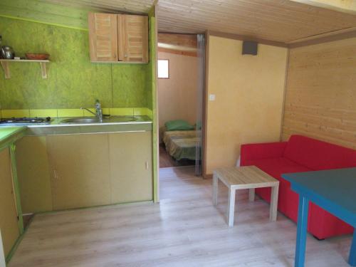 a kitchen and living room with a sink and a couch at sous les arbres in La Palud sur Verdon