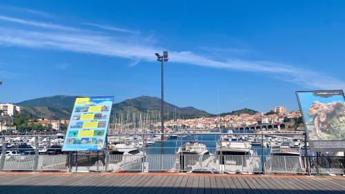 un port de plaisance avec un tas de bateaux dans l'eau dans l'établissement 3p à Banyuls-sur-mer traversant mer-montagne, à Banyuls-sur-Mer