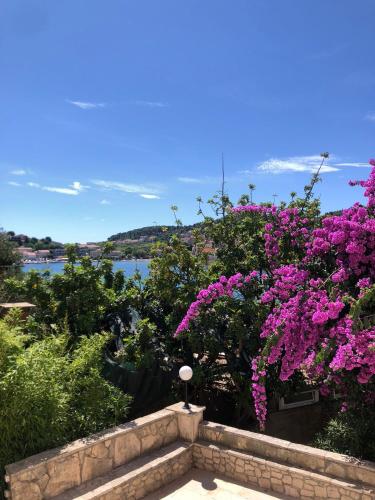 Rustic studio apartment - Salvia, Lumbarda