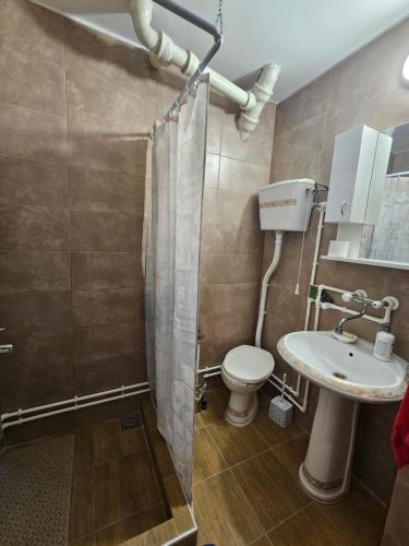 ピロトにあるApartman Purićのトイレと洗面台付きのバスルーム
