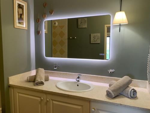 une salle de bain avec un lavabo et un grand miroir dans l'établissement appartement cosy avec climatisation réversible GOLF DE SAUMANE, à Saumane-de-Vaucluse