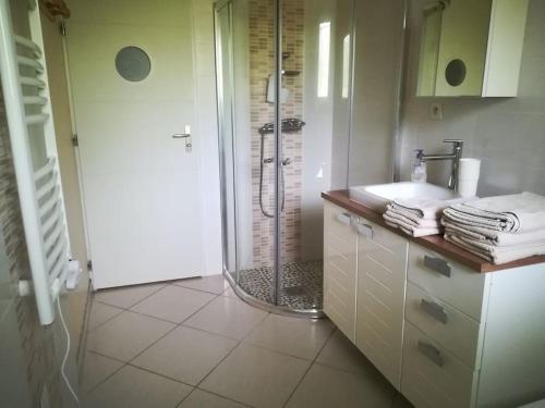 une salle de bain avec douche et lavabo dans l'établissement Belle villa au Cap Ferret Quartier MIMBEAU, à Lège-Cap-Ferret