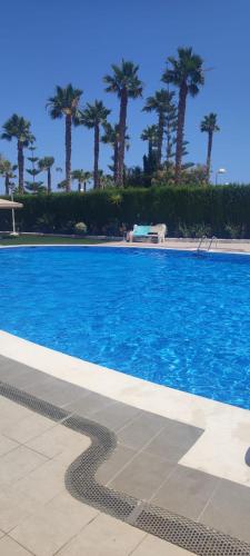 a blue swimming pool with palm trees in the background at Cala Blanca on the beach in El Borseral