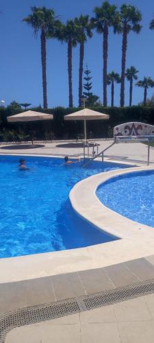 a large swimming pool with palm trees and umbrellas at Cala Blanca on the beach in El Borseral