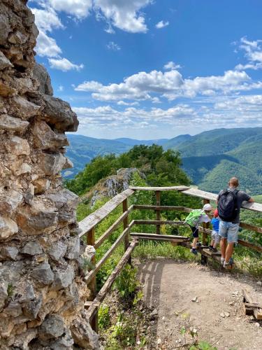 a man standing on a fence on top of a mountain at Chalet Durik Bystra - Jacuzzi - Sauna - In the forest - 10 min walk to restaurant - On hiking trail in Horná Lehota