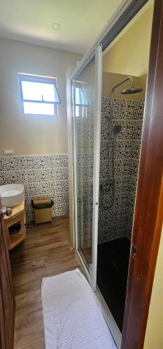 a bathroom with a shower with a glass door at Blue Planet Panglao in Panglao