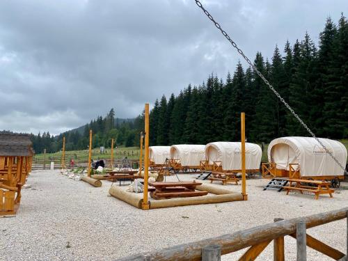 Příroda nedaleko apartmánu