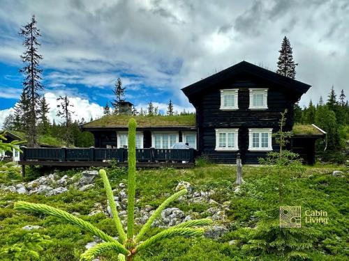 a log house with a grass roof on a field at Large log cabin at Sjusjøen with sauna, fireplace and panoramic view in Ringsaker