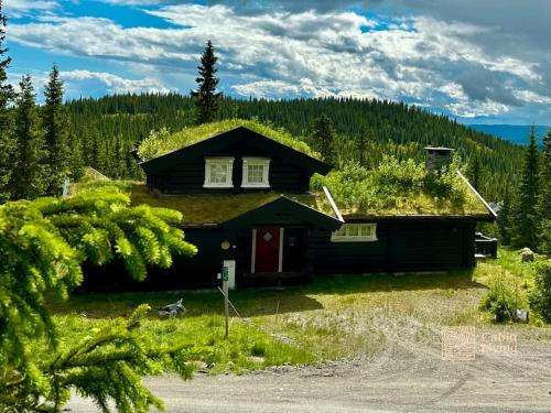 a house with a grass roof on top of it at Large log cabin at Sjusjøen with sauna, fireplace and panoramic view in Ringsaker