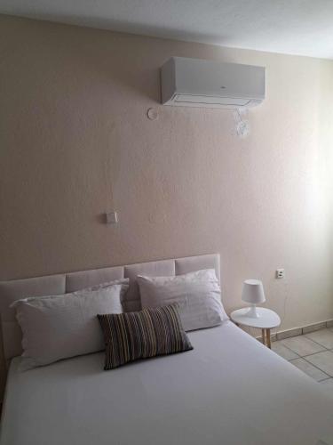 Olgas House