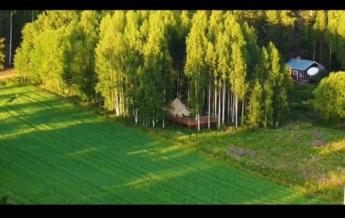 an aerial view of a yard with a house and trees at Käkiniitty Glamping Cuckoo Camp in Tammela