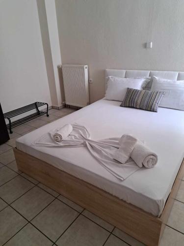 Olgas House