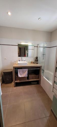 une salle de bain avec un lavabo et une douche dans l'établissement Le mas de malatra cavalaire, à Cavalaire-sur-Mer