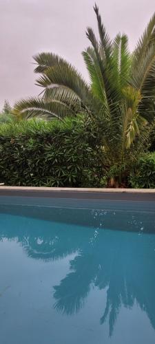 une piscine avec des palmiers et une réflexion dans l'eau dans l'établissement Le mas de malatra cavalaire, à Cavalaire-sur-Mer