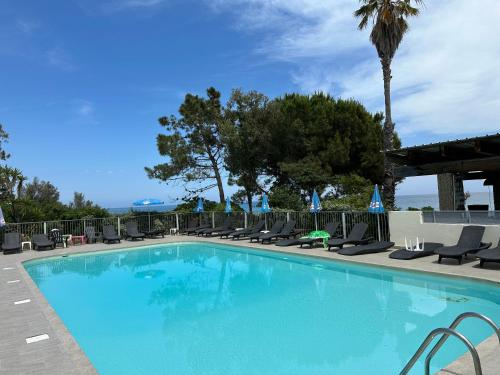 - une piscine avec des chaises et un palmier dans l'établissement Studio Cabine à quelques pas de la plage - VUE MER, à San-Nicolao