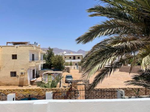a view of a house and a palm tree at Villa Vovan in Dahab