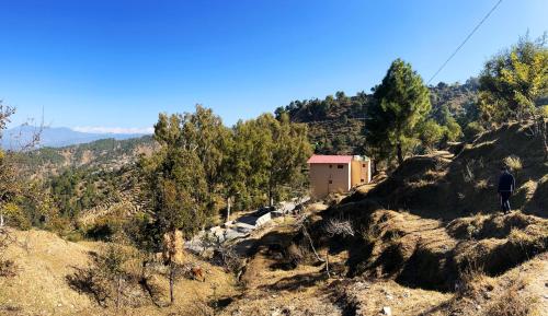 a man standing on top of a mountain at Hill view homestay Ranikhet in Rānīkhet