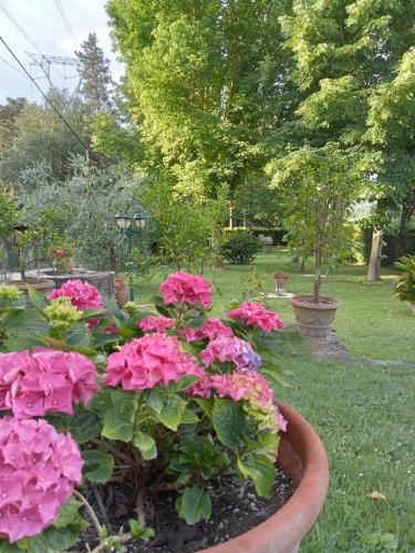 Un jardín fuera de Podere di Sotto