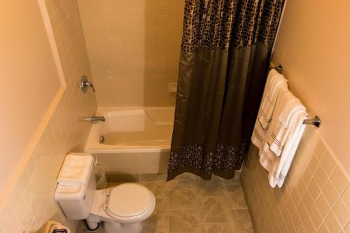 a small bathroom with a toilet and a shower at The Durban Hotel Guyana INC. in Georgetown