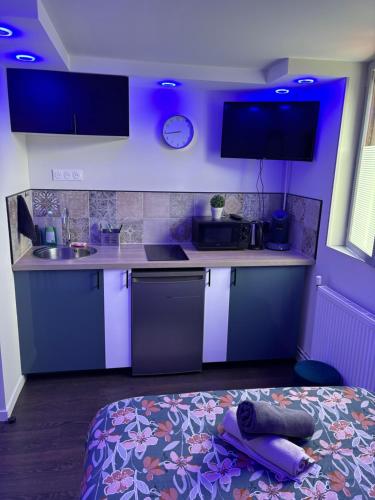 une cuisine avec un évier et un plan de travail dans l'établissement Just Cozy Chambre totalement indépendante #3, à Lille