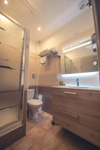 a bathroom with a toilet and a sink and a mirror at Logis Hôtel Restaurant Le Plantevin in Propiac