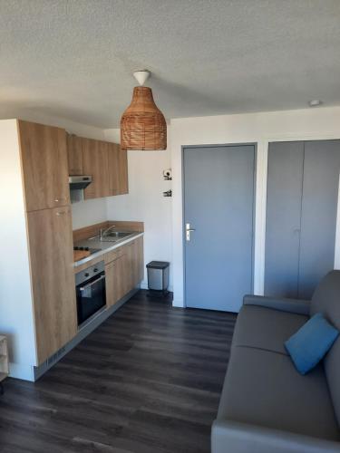 un salon avec un canapé et une cuisine dans l'établissement Le 458 Chez Yannick et Céline, au Grau-du-Roi