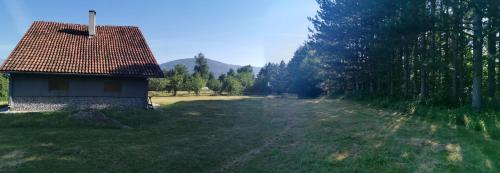 a small house in the middle of a field at Pine corner Mojkovac in Mojkovac