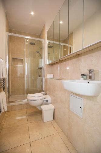 a bathroom with a toilet and a sink and a shower at Temple Bar Essex Apartments in Dublin