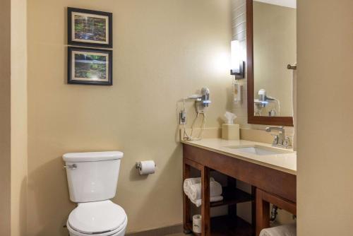 a bathroom with a toilet and a sink at Comfort Inn & Suites At CrossPlex Village in Birmingham