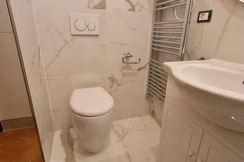 a white bathroom with a toilet and a sink at Suite storica e panoramica - Centro in Pisa