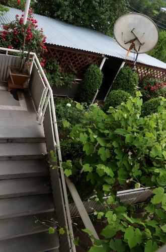 Zahrada ubytování Guesthouse Dilsun