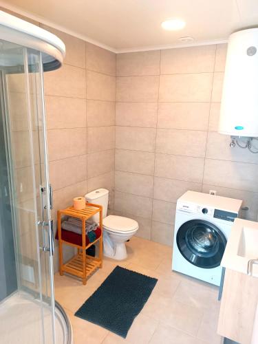 a bathroom with a washing machine and a toilet at Apartments Romantic and Family Room Zemlinski in Payerbach