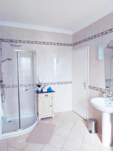 a bathroom with a shower and a sink at Várnegyed Apartman in Dunaföldvár