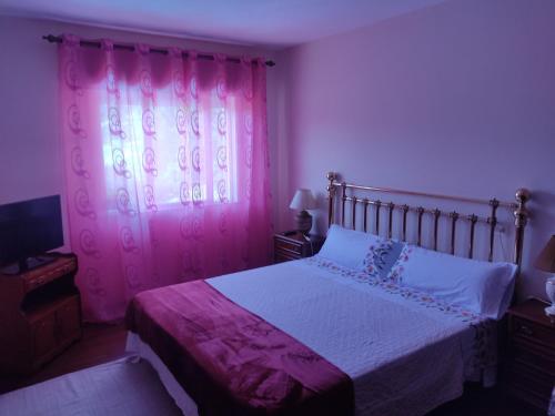 a bedroom with a bed with a pink curtain at Casa do Lucio in Rianjo