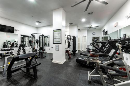 Palestra o centro fitness di The Netherland by MIAMI BEACH OCEAN RENTAL
