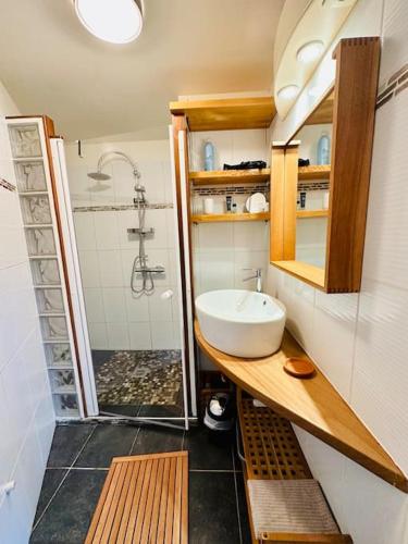 une petite salle de bain avec un lavabo et une douche dans l'établissement Studio à Port Manec'h - Plage et port à pied, à Névez