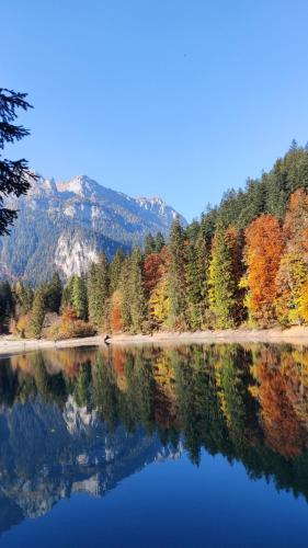 a reflection of trees in a lake with autumn colours at NEW ENTRY - Nuova villa nel verde in Mezzana