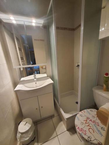 une salle de bain avec une douche, des toilettes et un lavabo dans l'établissement Appartmt 6-8 en montagne, à La Pierre Saint Martin