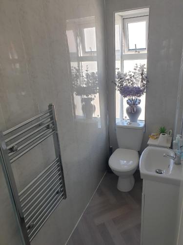 a bathroom with a toilet and a sink and a window at San Remo in Paignton