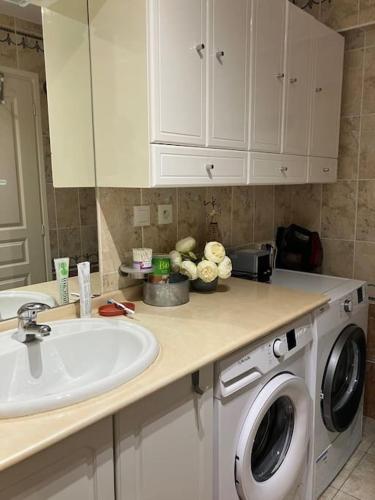 une cuisine avec un évier et une machine à laver dans l'établissement Appartement en résidence de standing, à Berck-sur-Mer