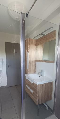 une salle de bain avec un lavabo et une douche dans l'établissement Chambre La Rochelle Angoulins, à Angoulins-sur-Mer